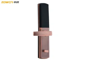 Anti Theft Push Pull W80mm Waterproof Smart Door Lock