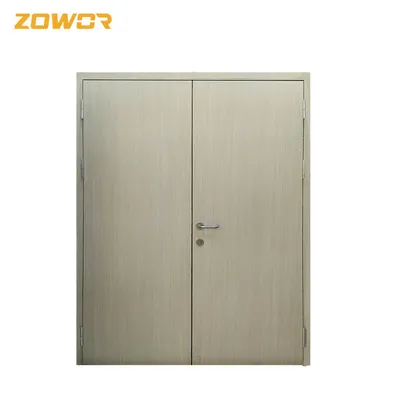 BS Certified 40 mm FD30 Fire Door For Interior & Exterior Use